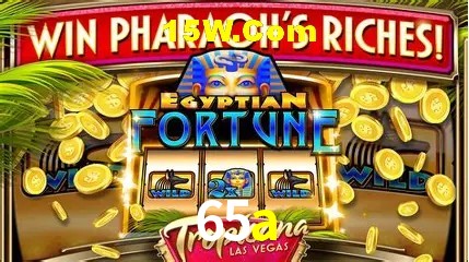 Live Casino 65a
